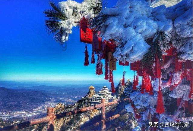 深度学习达人进阶必备 | 长期熬夜会变笨吗?知识星球平台